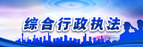綜合行政執法